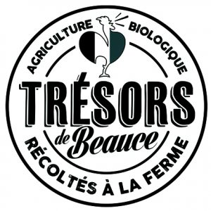 logo-TDBeauce
